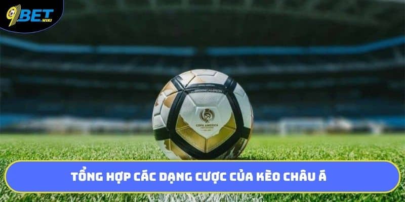 Tổng hợp các dạng cược của kèo châu á
